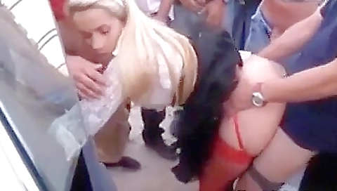 Sexy blonde chick fucked in her boyfriend