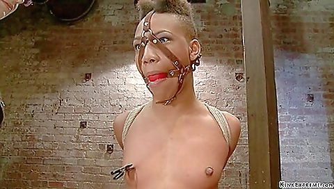 Cheating my tranny get ex